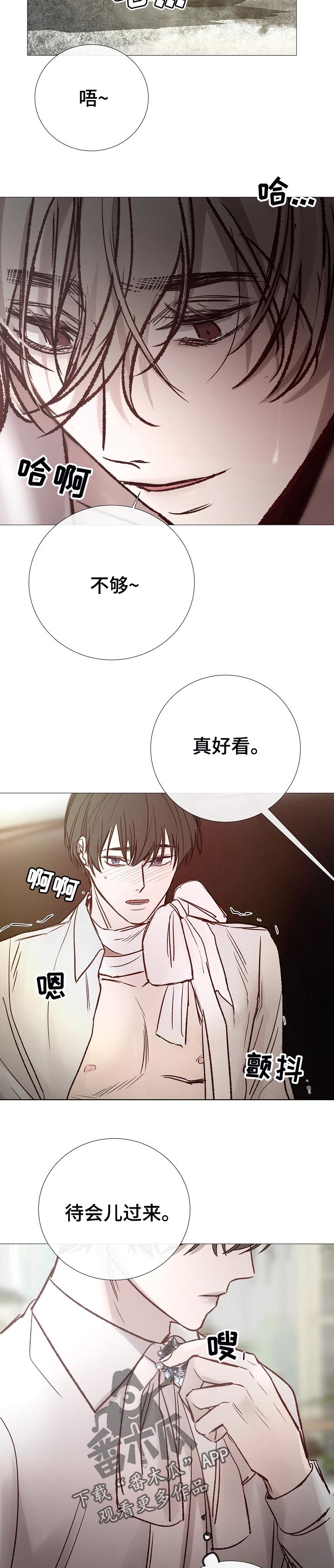 冰凉的居所漫画,第165章：有话说5图