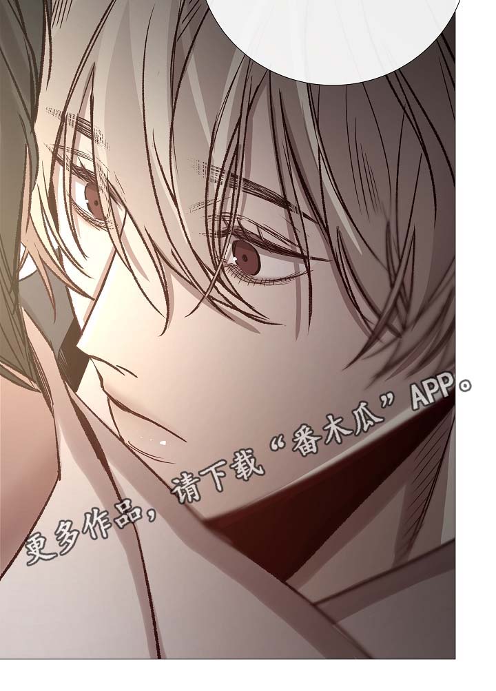 冰凉的心mp4漫画,第87章：简直糟糕透了5图