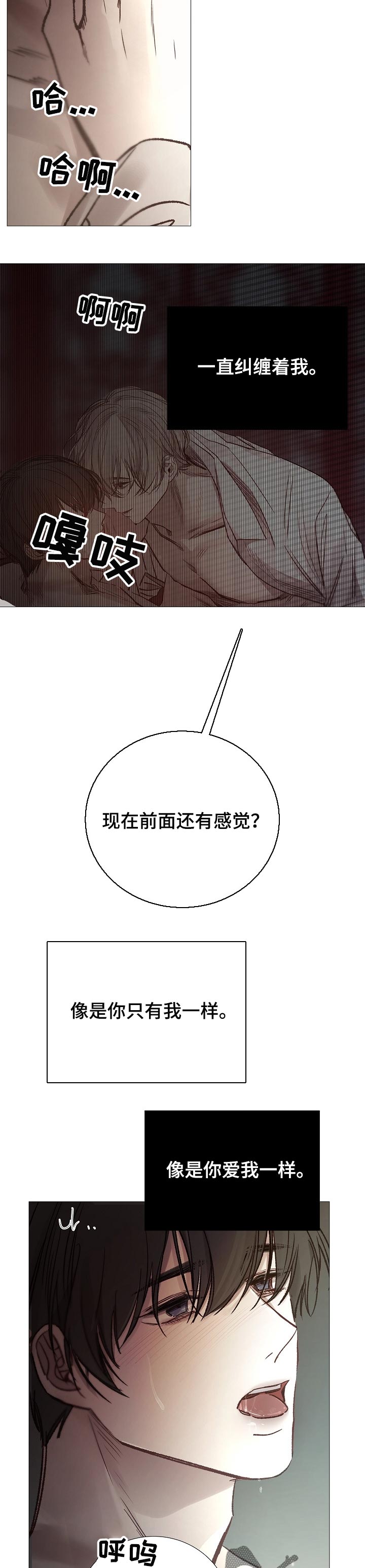 冰凉的居所漫画,第154章：没看见3图