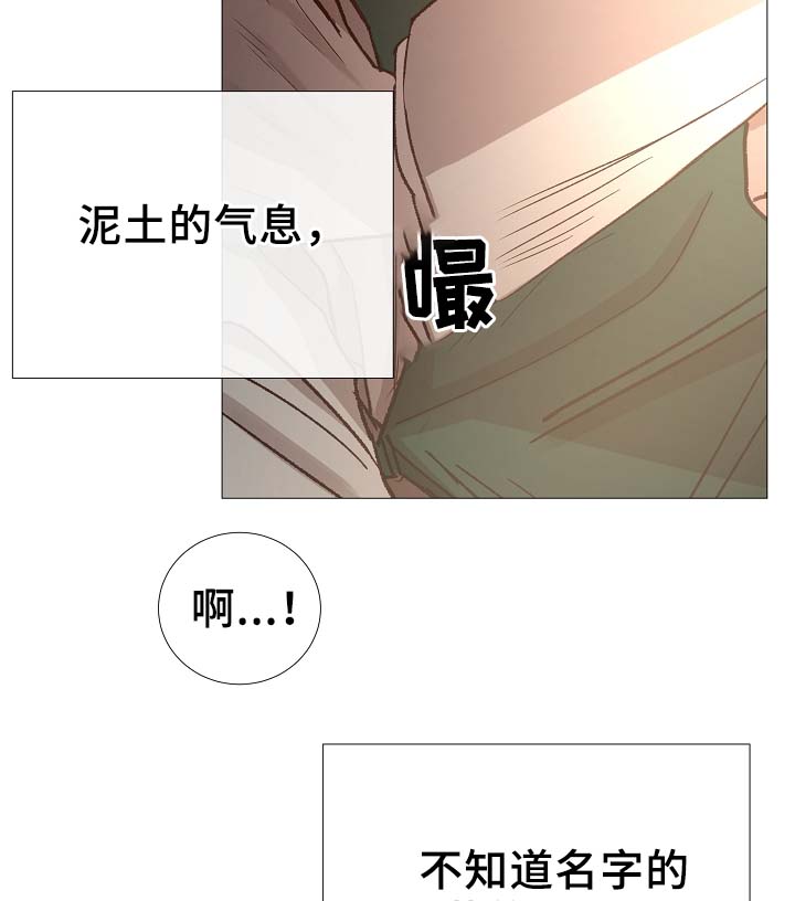 冰凉的居所漫画,第82章：真的没事吗2图