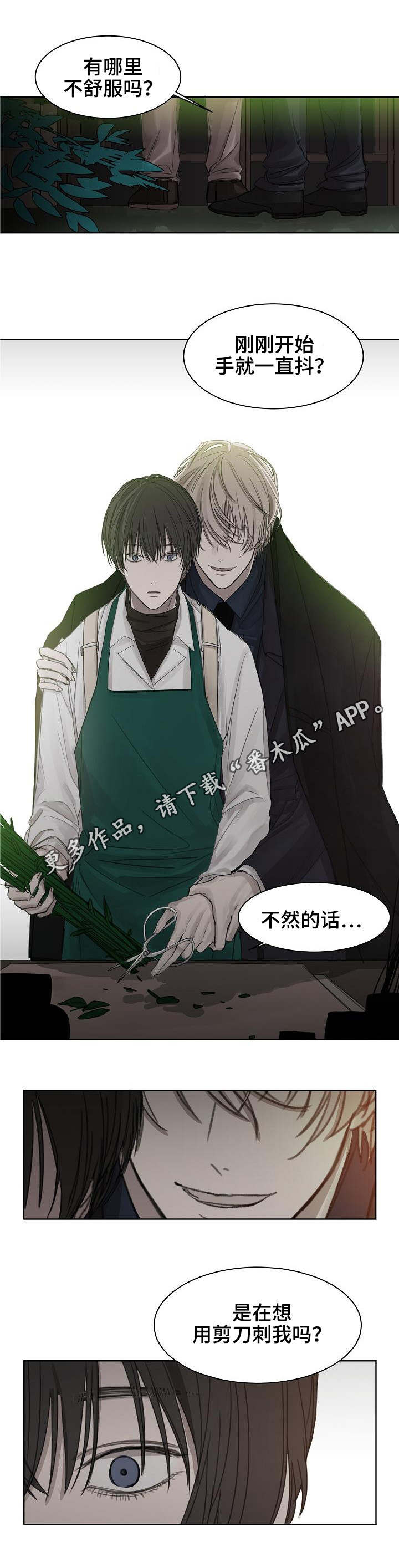 冰凉的居所漫画,第6章：选花1图