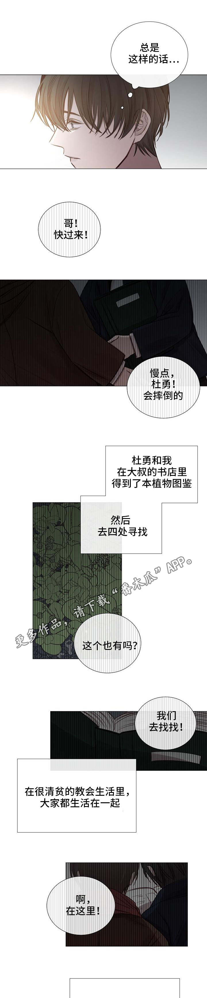 冰冷的房屋漫画,第52章：传闻3图