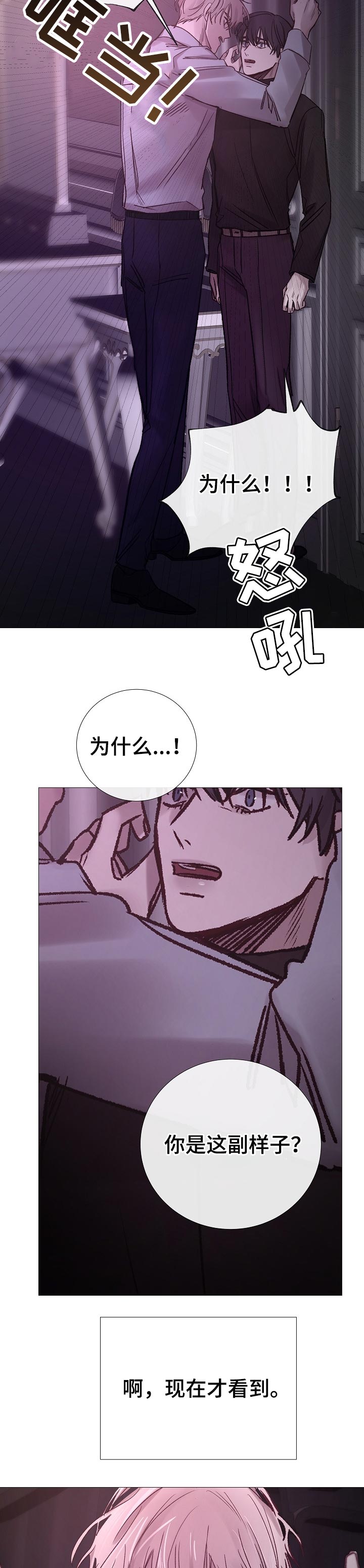 冰凉的居所漫画,第180章：一起消失2图