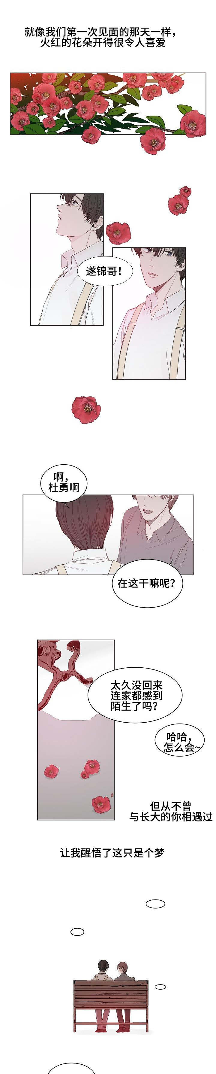 冰凉的居所漫画,第1章：往事1图