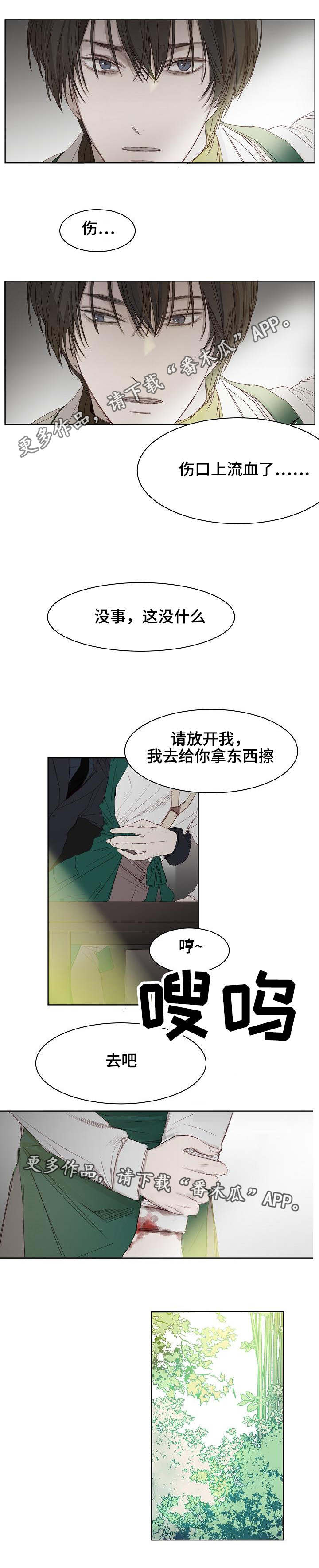 冰凉的居所漫画,第6章：选花4图