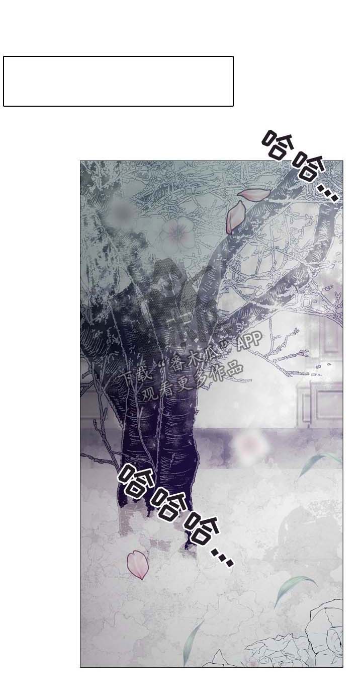 冰凉的风原唱完整广场舞版漫画,第124章：期待1图