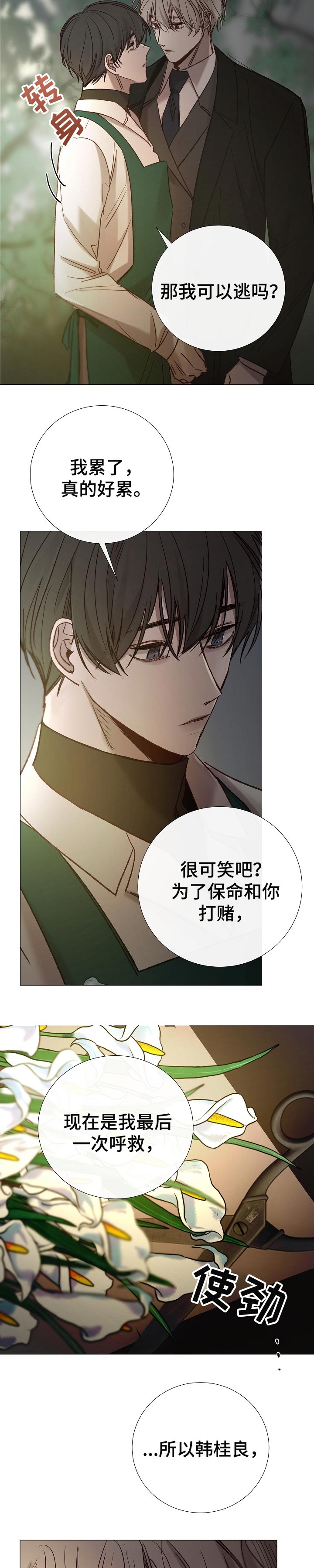 冰凉的居所漫画,第156章：糟糕透顶1图