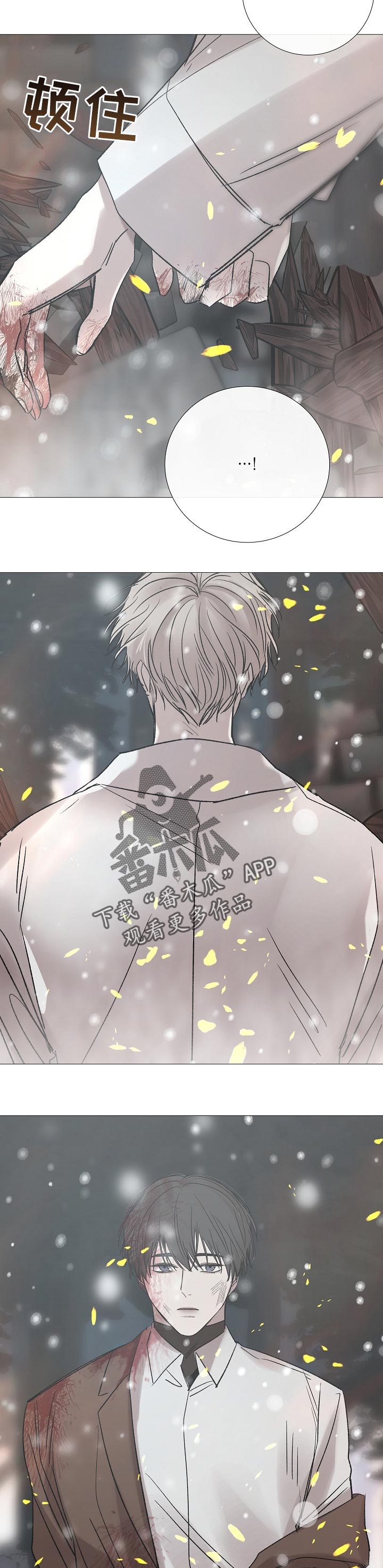 冰凉的你漫画,第186章：不想再后悔了3图