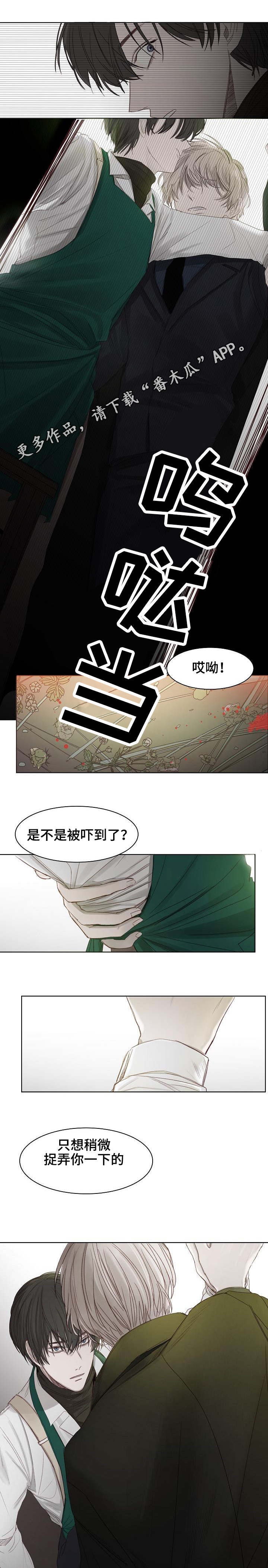 冰凉的居所漫画,第6章：选花2图