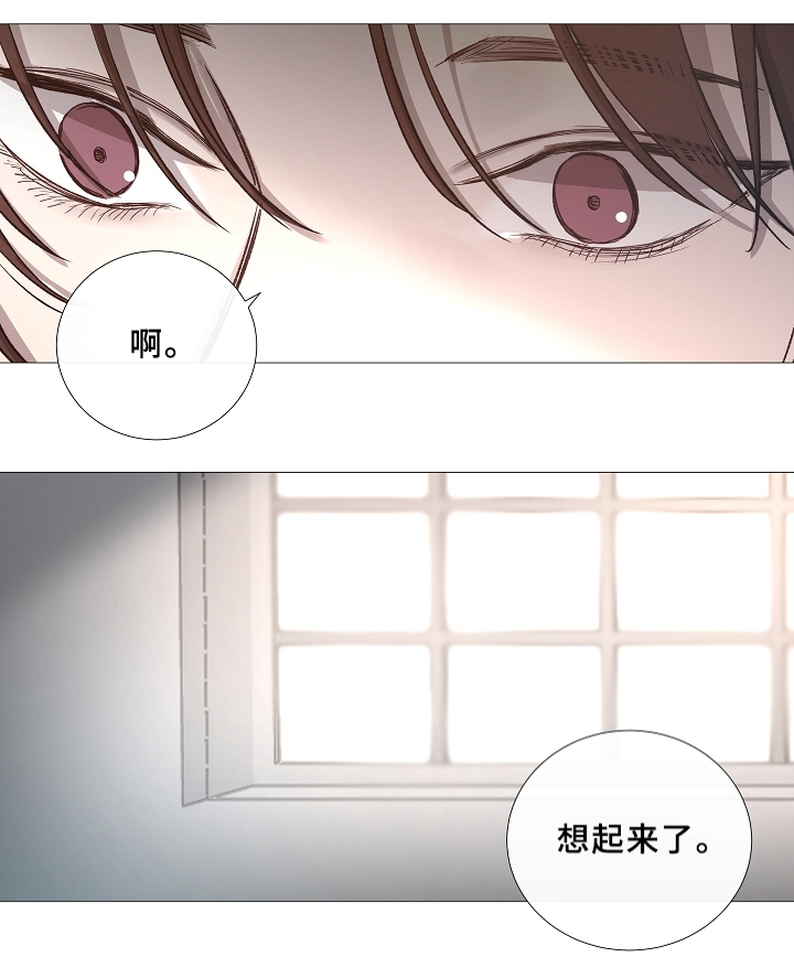 冰凉的居所漫画,第70章：想起来了1图