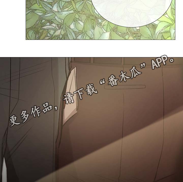 冰凉的泪完整版漫画,第90章：聚会的目的1图