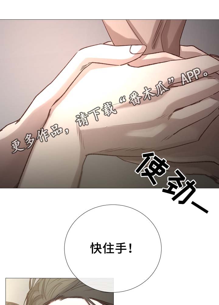 冰凉的泪完整版漫画,第90章：聚会的目的4图