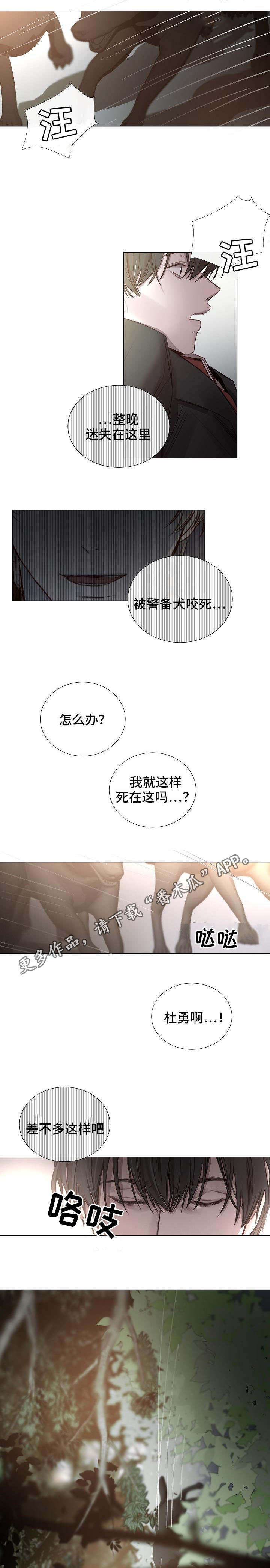 冰凉的居所漫画,第53章：有惊无险5图