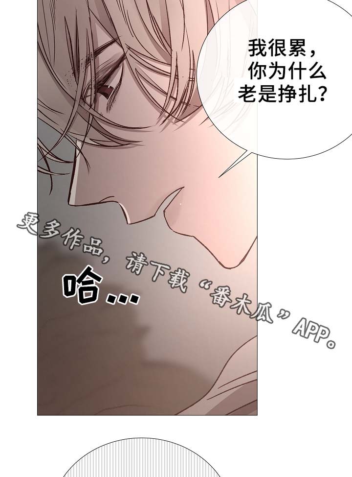 冰凉的诱惑漫画,第81章：气氛正好4图