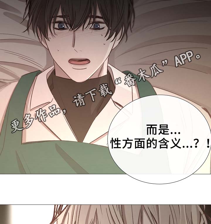 冰凉的居所漫画,第82章：真的没事吗3图