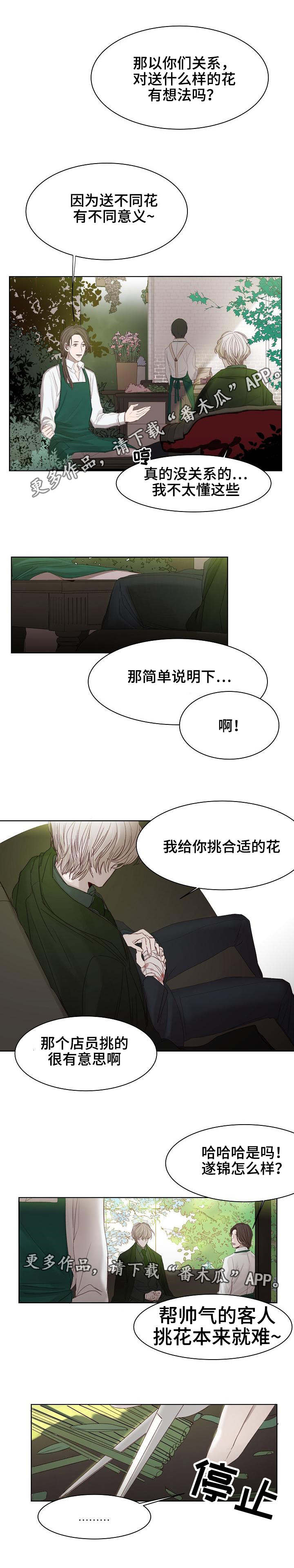 冰凉的居所漫画,第6章：选花1图