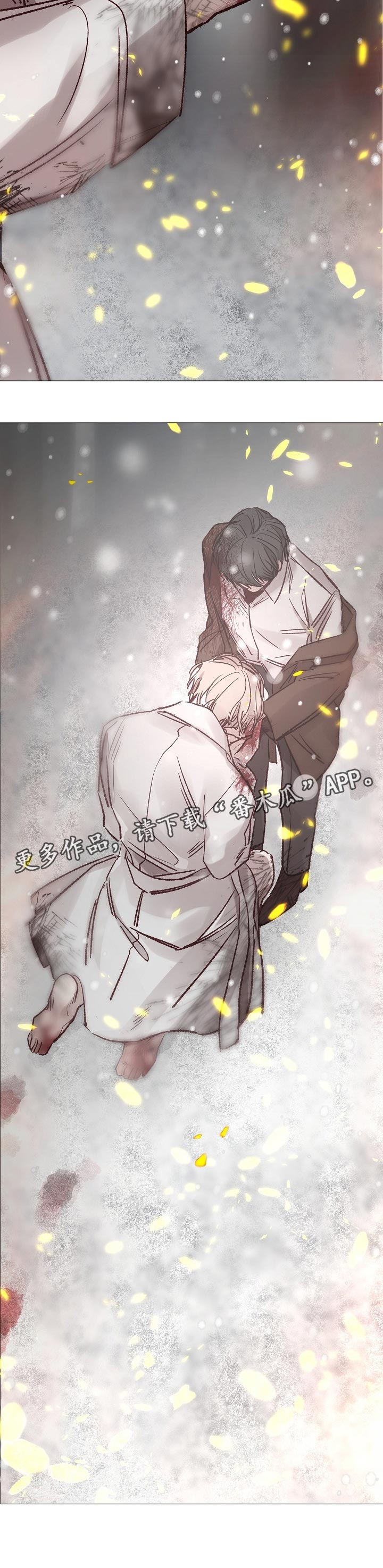 冰凉的火漫画,第186章：不想再后悔了3图