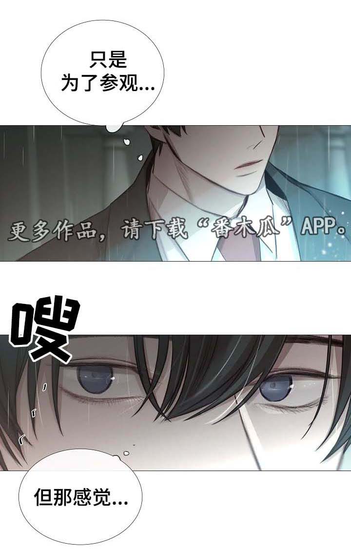 冰凉的居所漫画,第62章：还没到那种程度1图