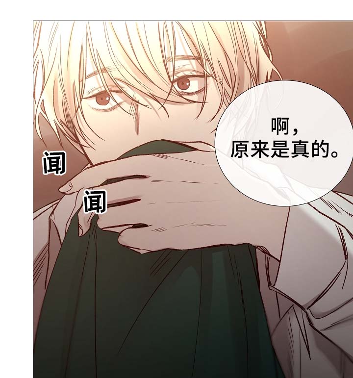 冰冷的居所漫画,第83章：给你加分5图