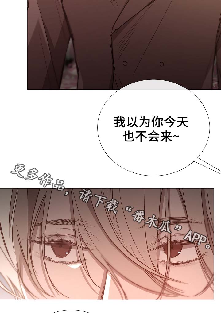 冰凉的凉组词漫画,第79章：很忙5图