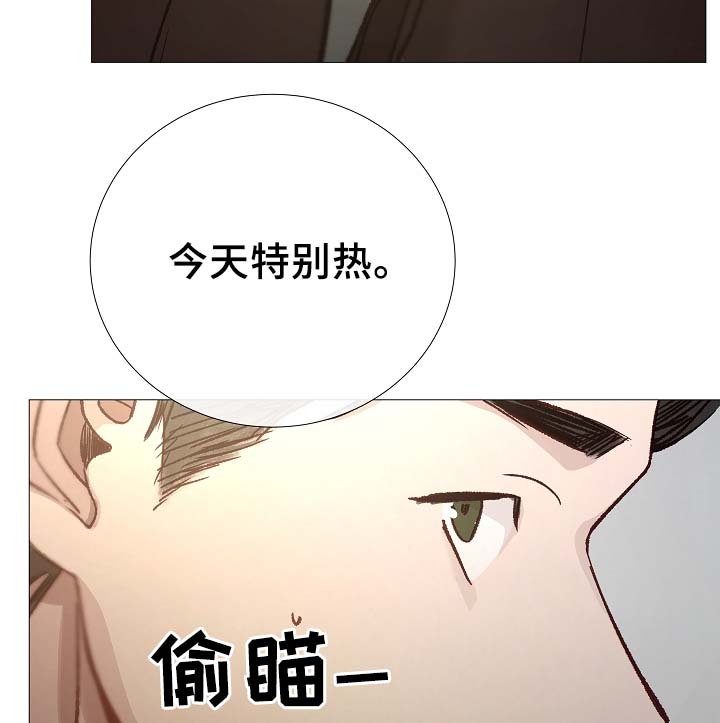 冰凉的居所漫画,第87章：简直糟糕透了5图