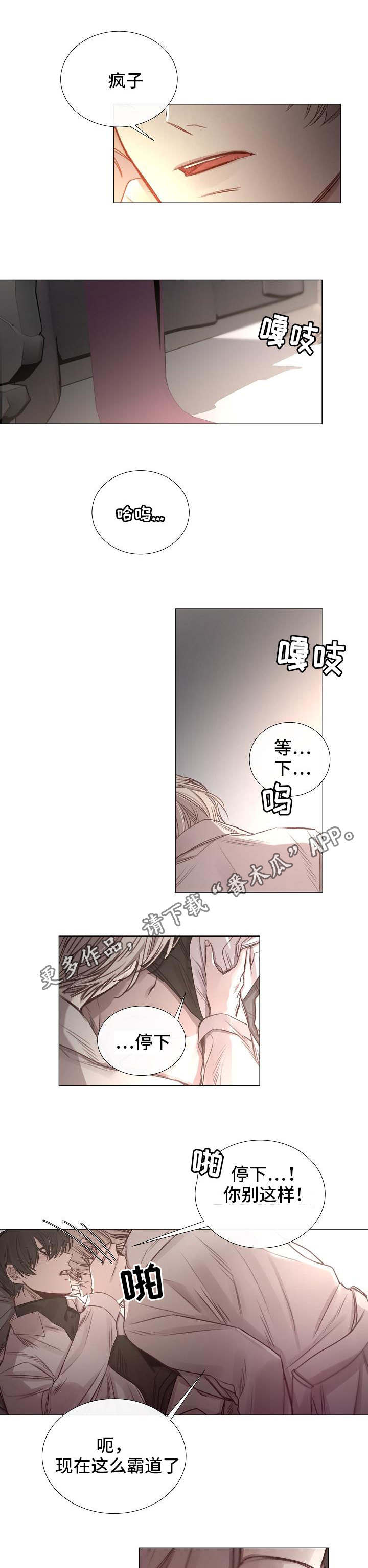 冰凉的风原唱完整广场舞版漫画,第54章：一手策划2图