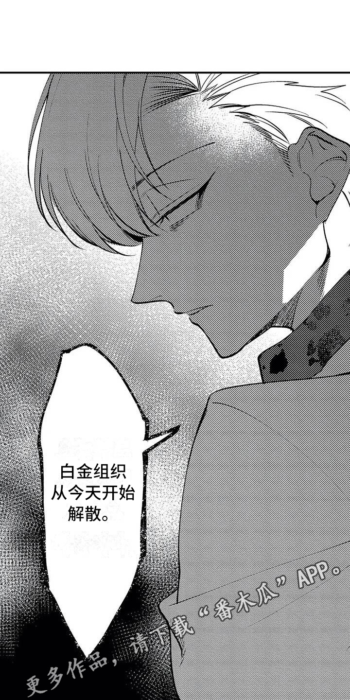 打翻的蛋糕友谊漫画,第15章：解散组织4图