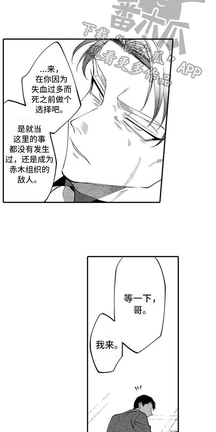 打翻友谊漫画,第23章：胜利4图