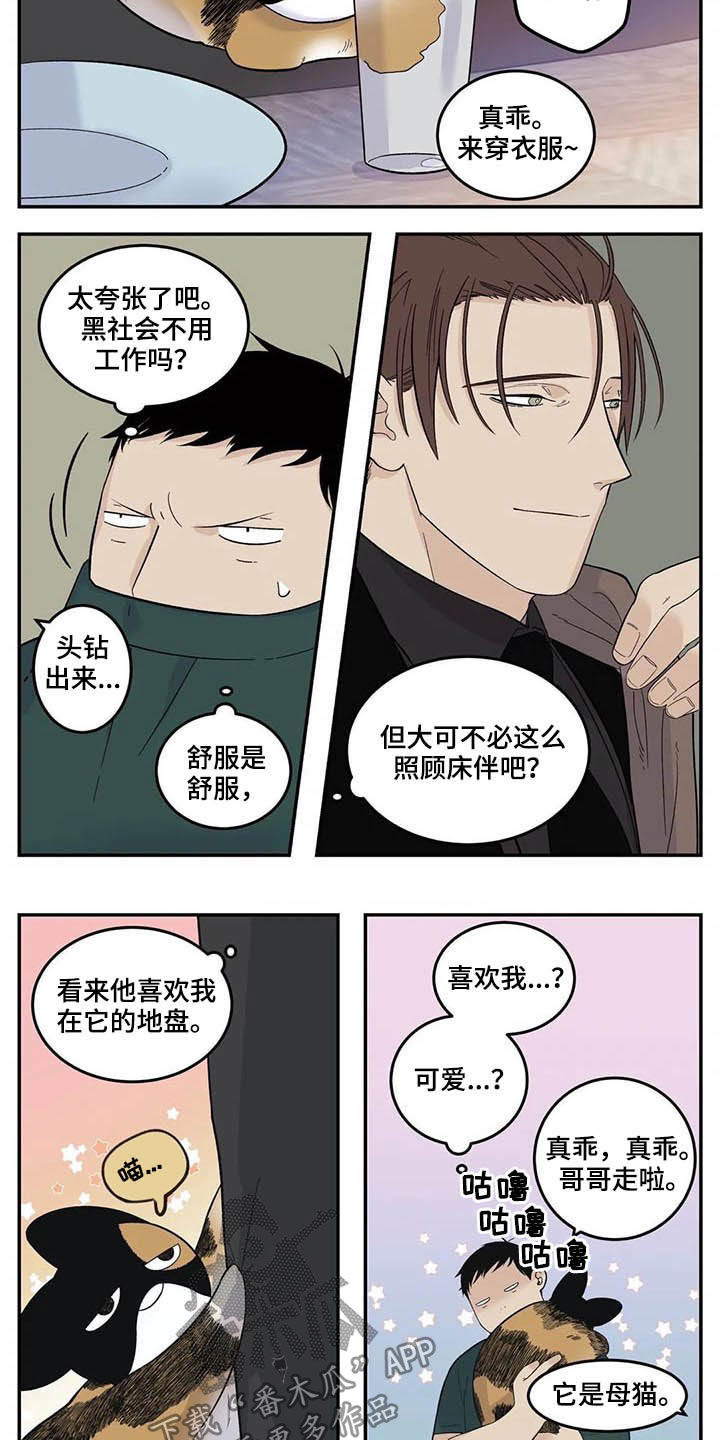 老大的打火机漫画,第73章：粗鲁4图