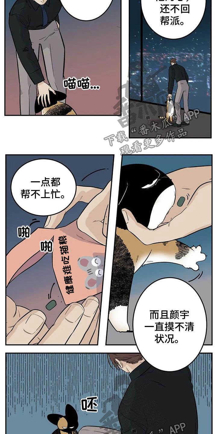 老大的打火机漫画,第81章：流浪动物5图