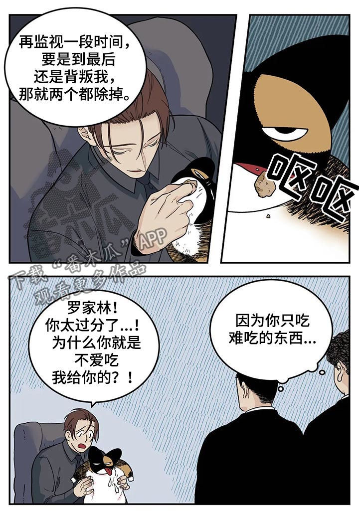 老大的打火机漫画,第43章：为我考虑1图