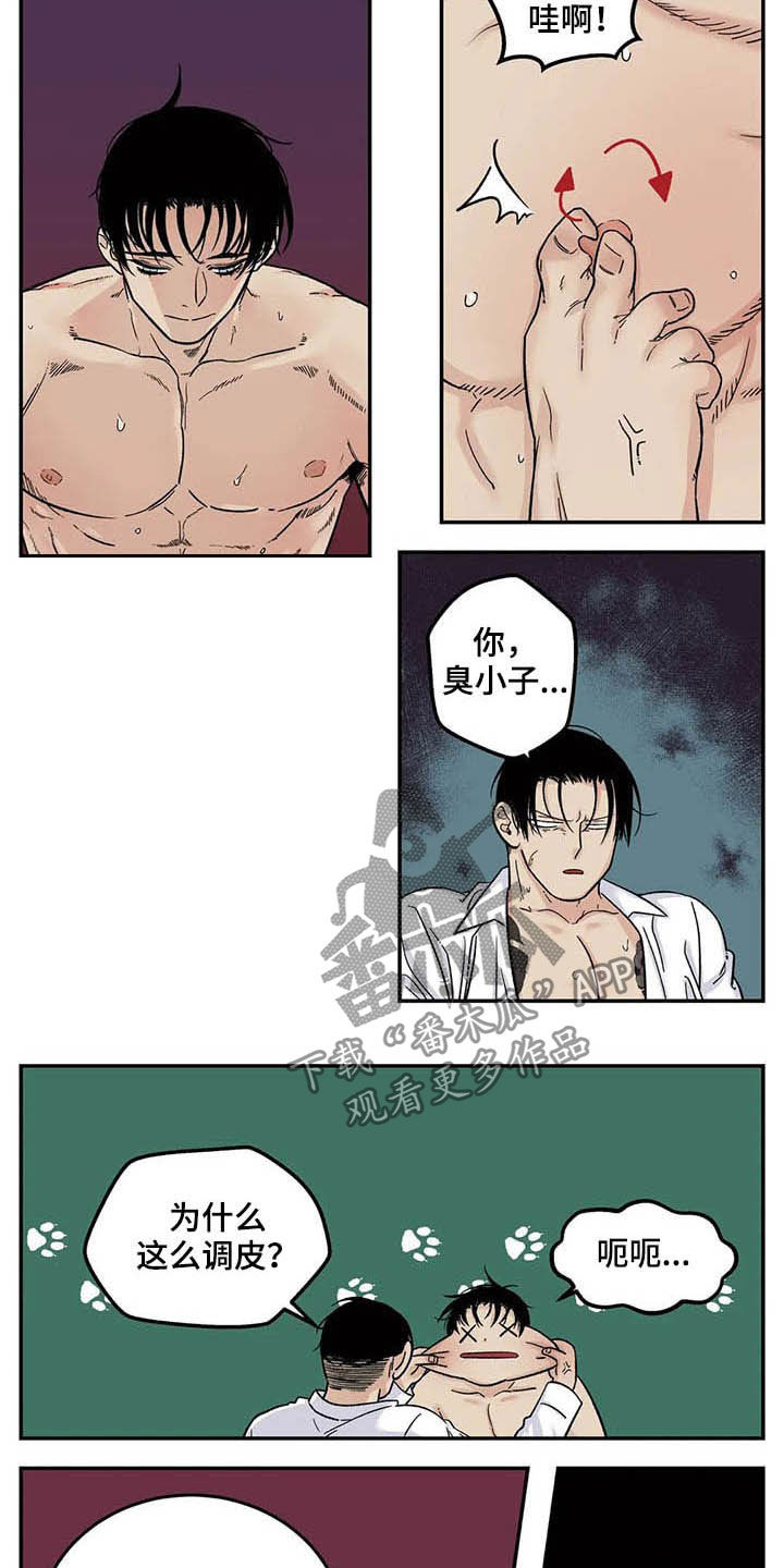 老大的打火机漫画,第79章：喜欢你1图