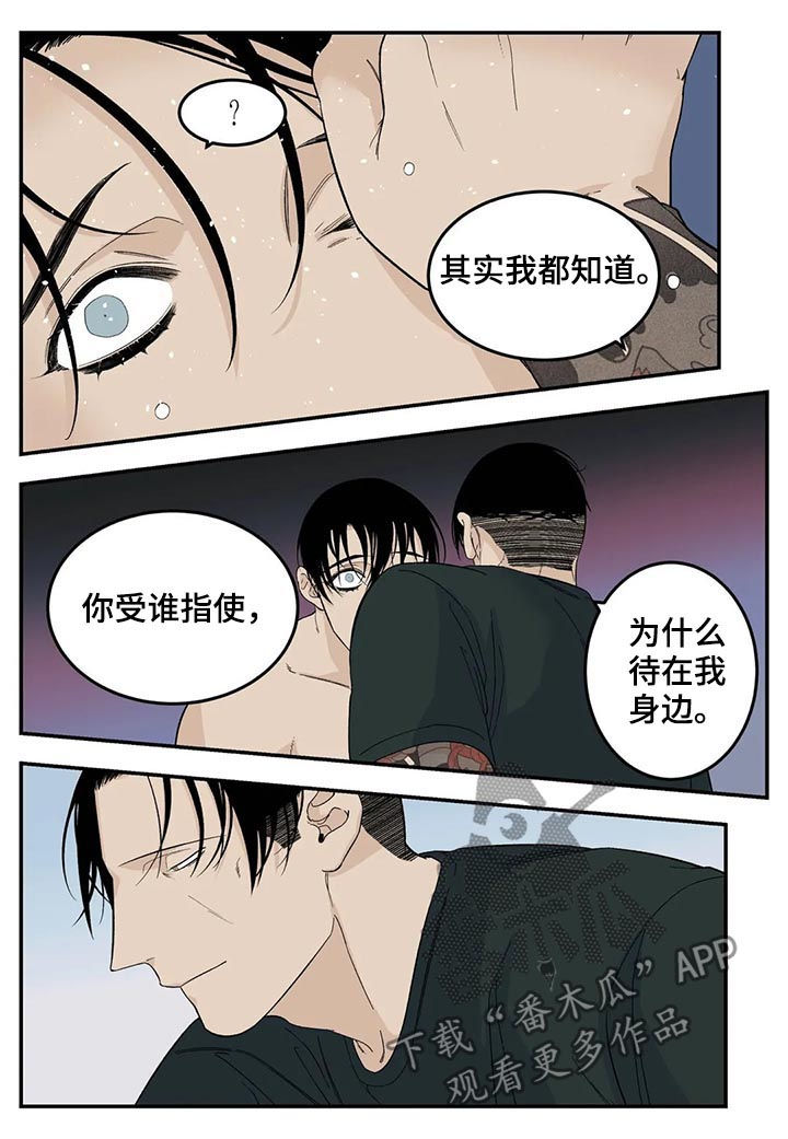 老大的打火机漫画,第70章：让你别说话3图