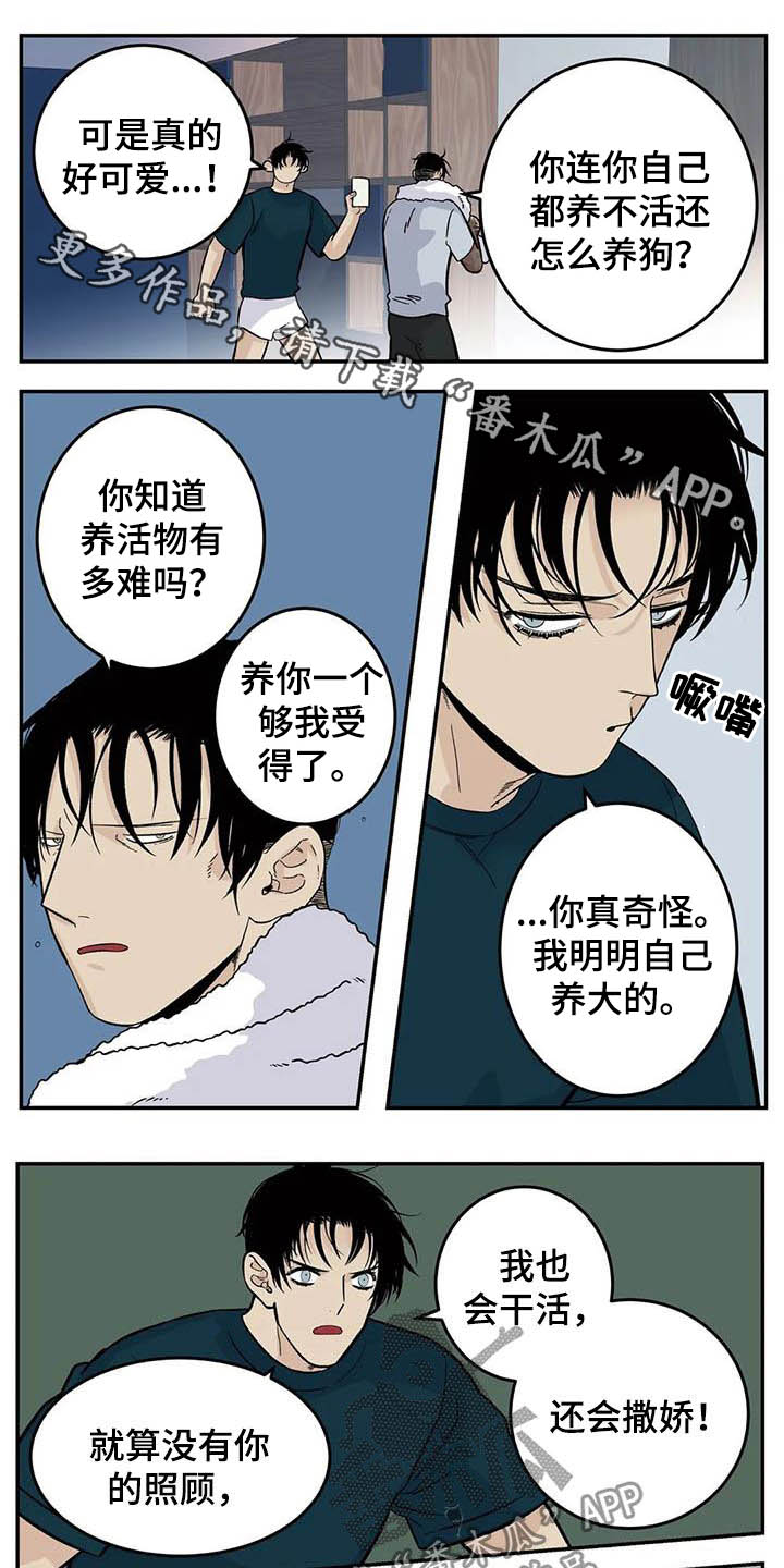 老大的打火机漫画,第82章：一天一次亲亲1图