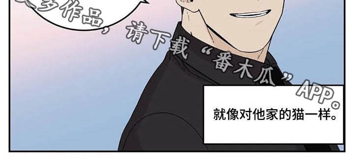 老大的打火机漫画,第74章：像对猫一样3图