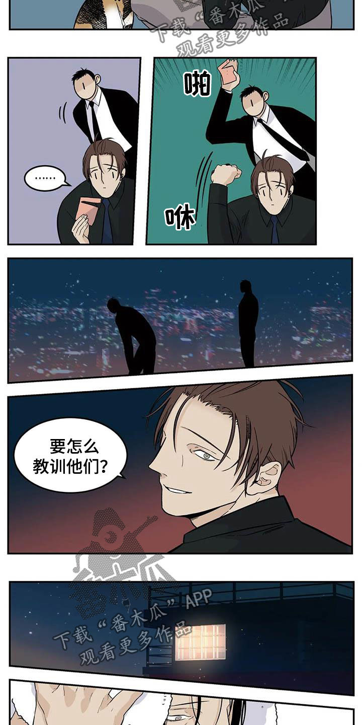 老大的打火机漫画,第81章：流浪动物1图