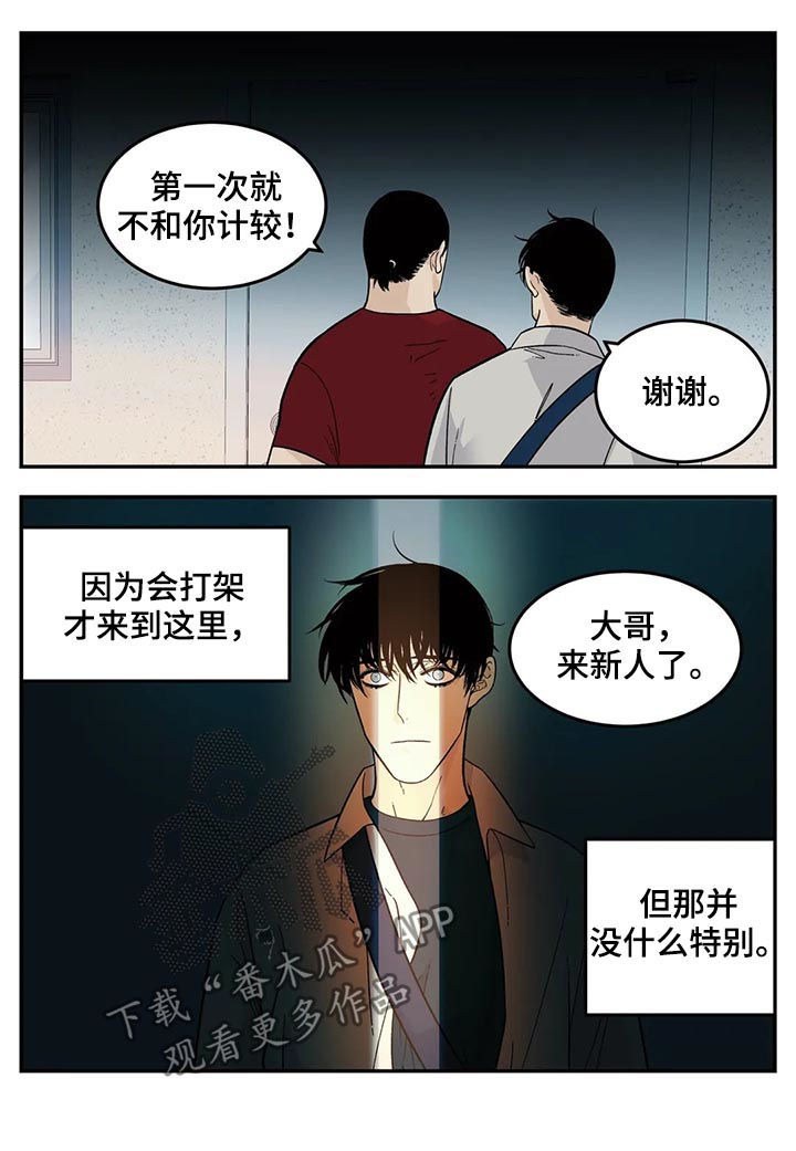 老大的打火机漫画,第55章：新人2图