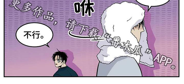 老大的打火机漫画,第81章：流浪动物3图