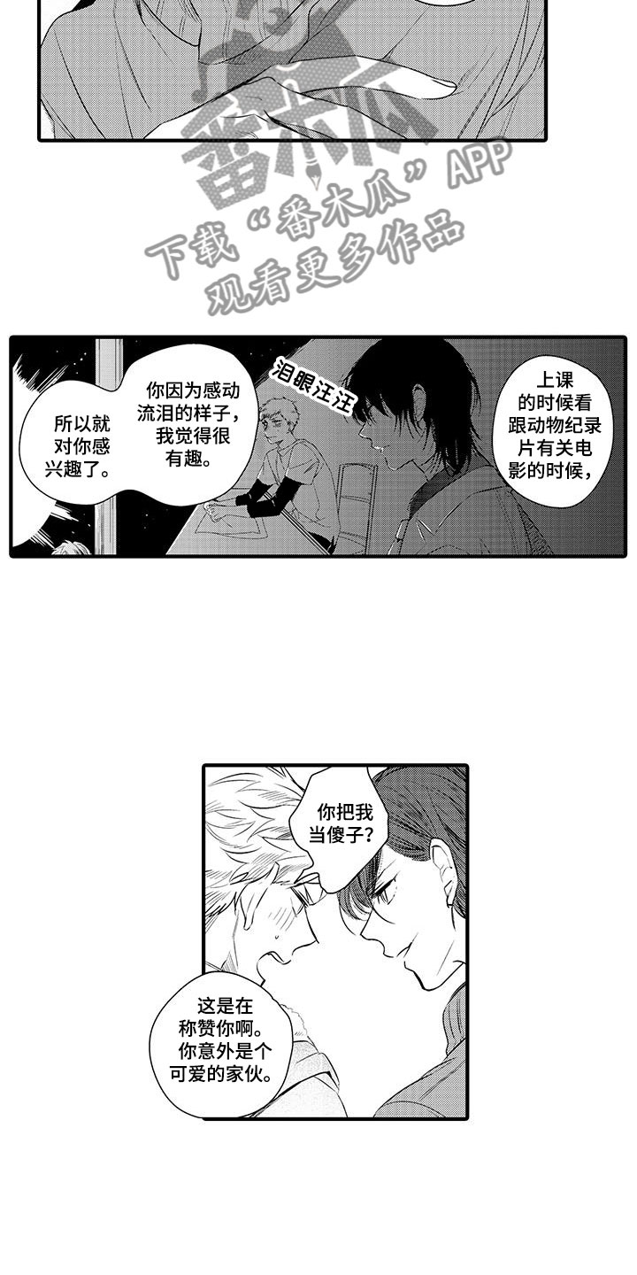捕捉爱人漫画,第8章：小电影：变身4图