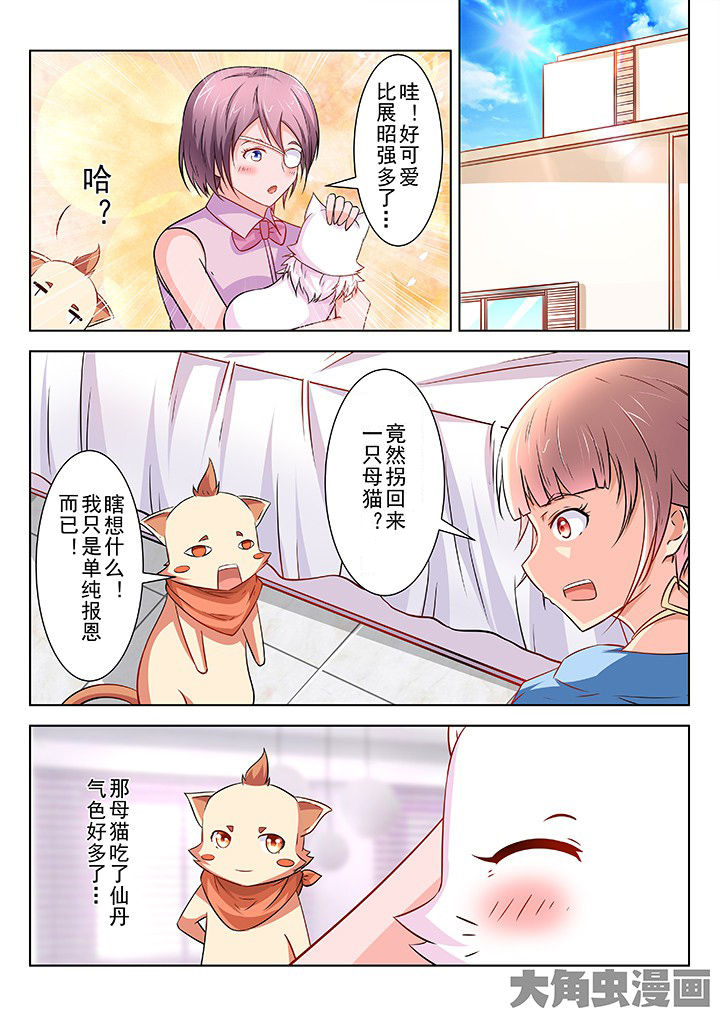 少女包青天漫画,第56章：1图