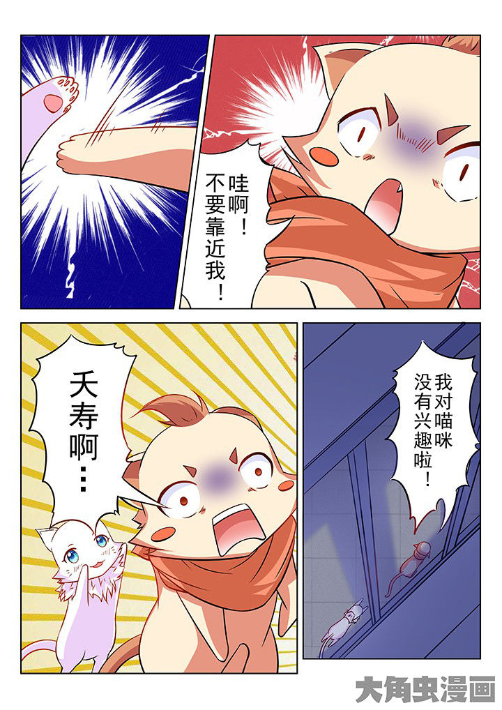 少女包青天漫画,第43章：3图