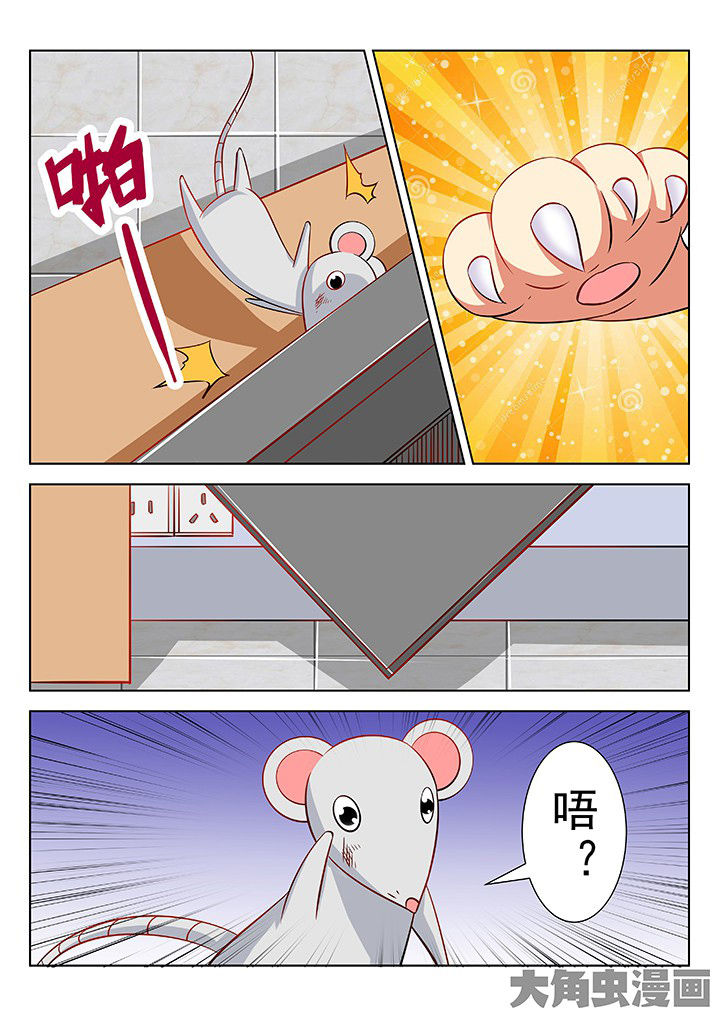 少女包青天漫画,第47章：5图