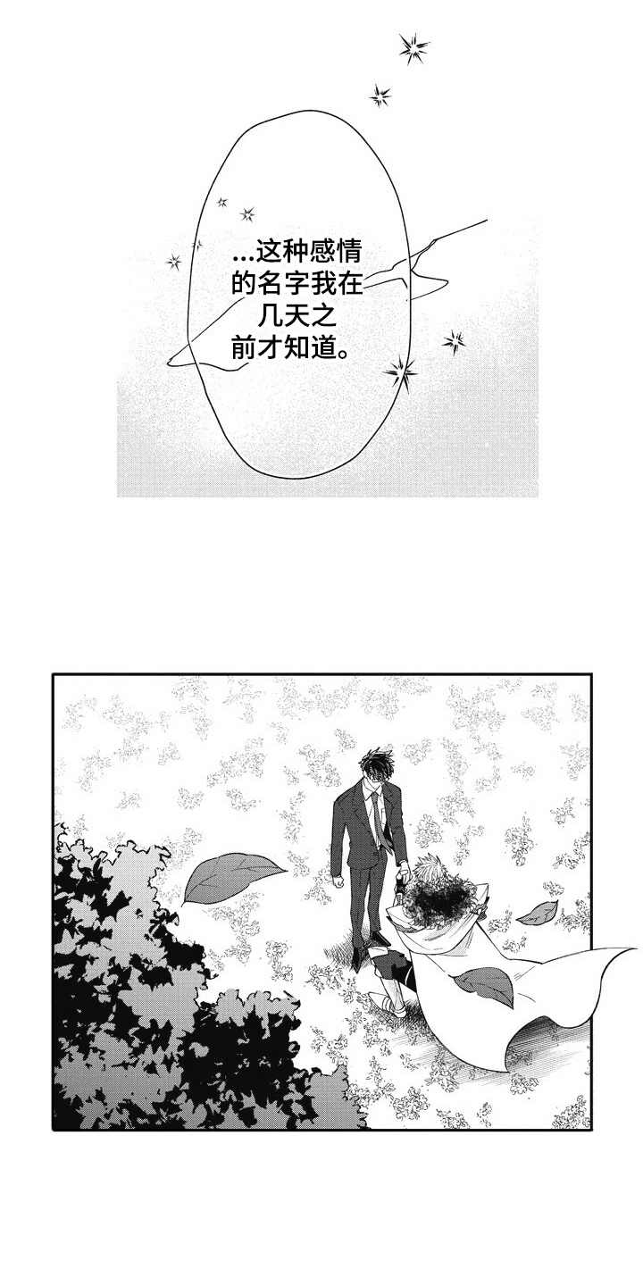 我和骑士在一起漫画,第23章：美景4图