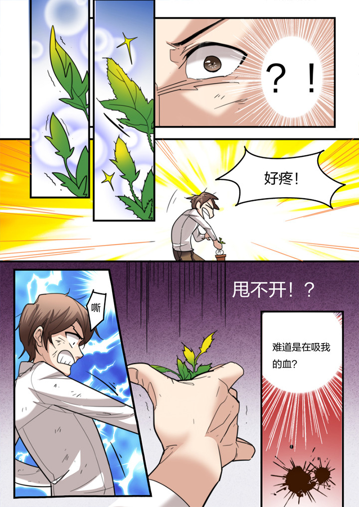 种出个新娘漫画,第7章：4图