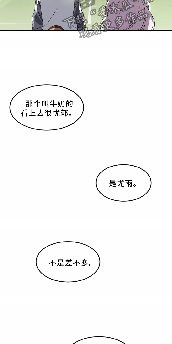 动物校园漫画,第38章：庆典3图