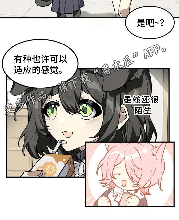 动物校园全集视频漫画,第4章：班长4图