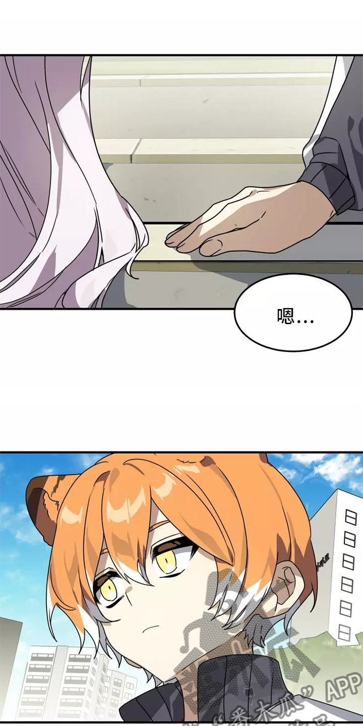 动物校园漫画,第38章：庆典1图