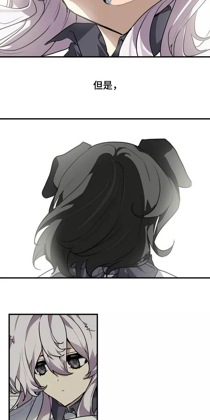 动物校园欺凌漫画,第35章：为什么说谎1图