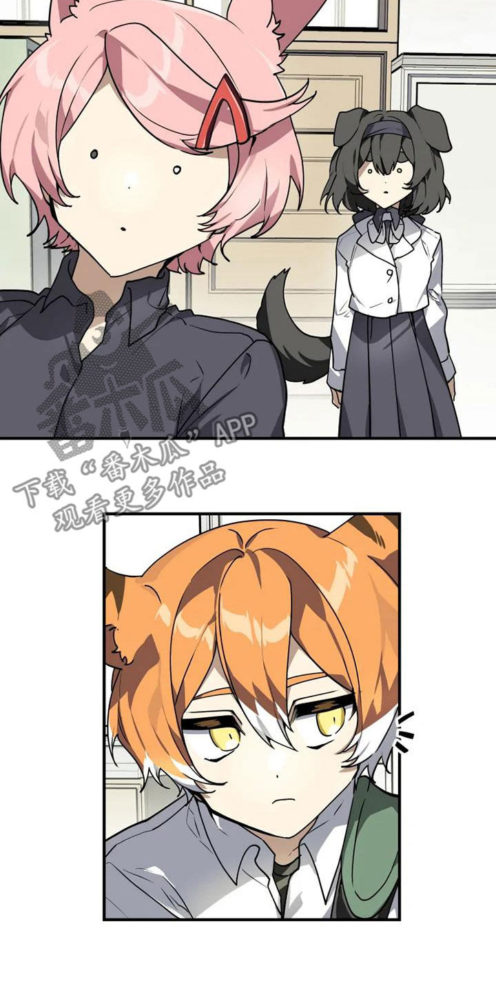 动物校园漫画,第29章：不喜欢坦诚4图