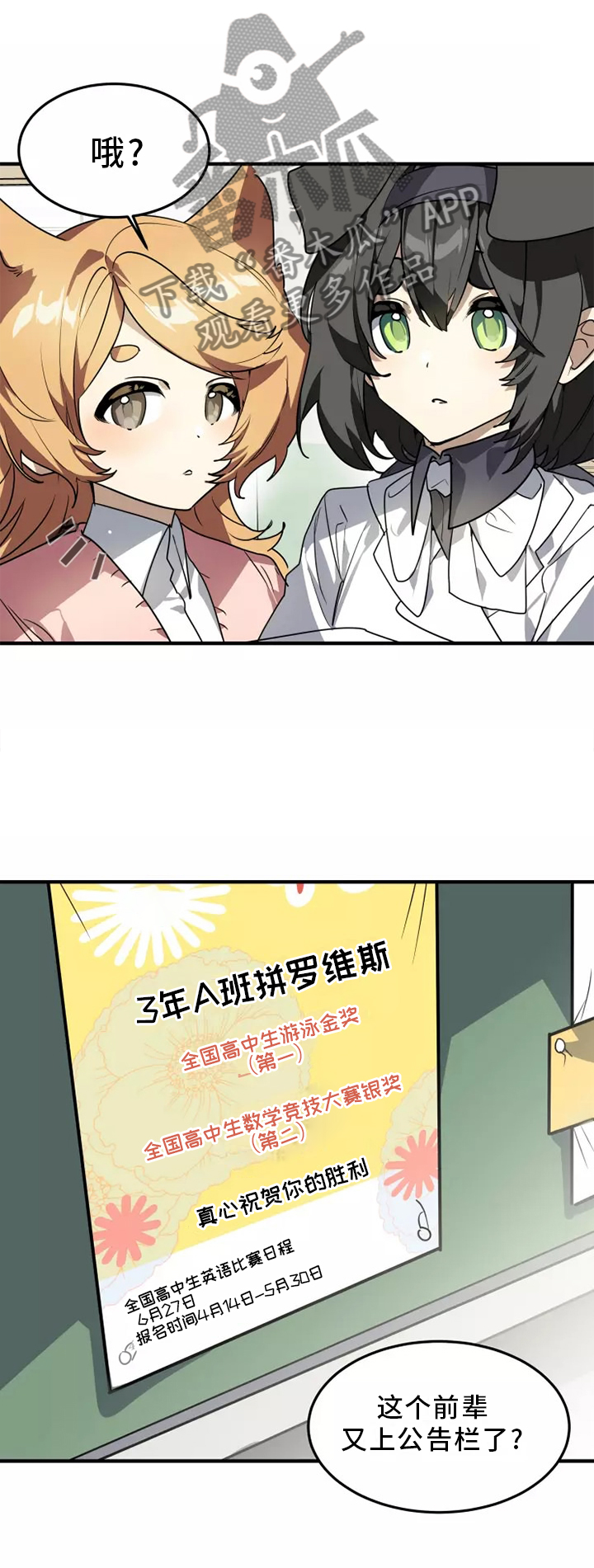 动物笑话大全爆笑漫画,第38章：庆典1图